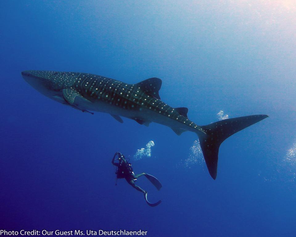 Boutique Beach All Inclusive Diving Hotel Dhigurah  Exterior foto